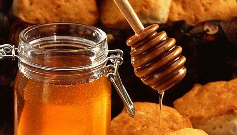 عسل آویشن شیرازی + قیمت خرید